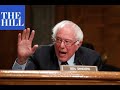 Bernie Sanders chairs Senate hearing on combatting inequality | FULL HEARING