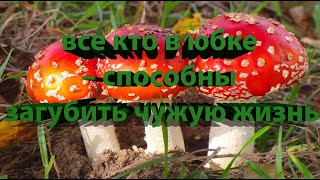 Жарим подосиновики и подберезовики. Рецепт Жарим подосиновики и подберезовики. Рецепт
