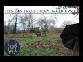 Chasse aux grands gibiers : Tir d’un cerf, d’une biche et d’un sanglier! Battue de Folie!