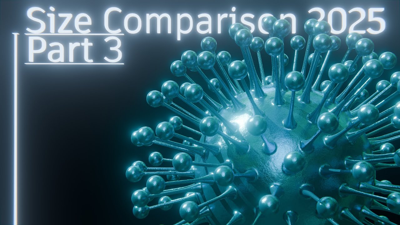Size Comparison 2025 (Part 3) 4K 60FPS 3D