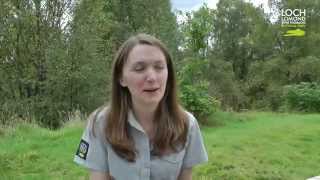 National Park Volunteers - we thank you!
