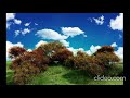 Літа мої молодії тексти Віктор Забіла 