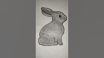 Rabbit🐇  Drawing #drawing #shorts #sketch #rabbitdrawing