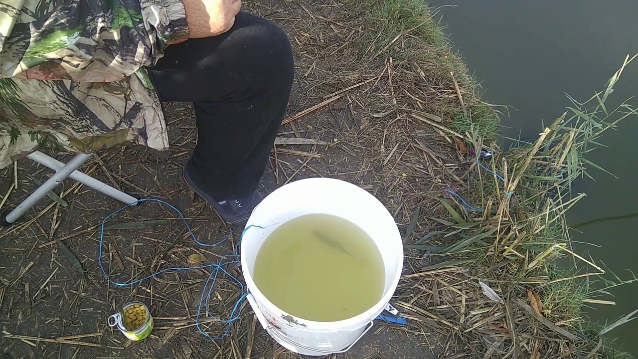 Рыбалка в Бриньковской - YouTube