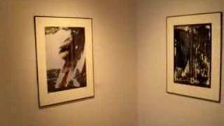 Ross Holt photography exhibit - Crocker's Mark Gallery