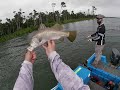 Barramundi topwater session at Hinchinbrook