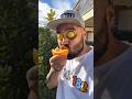 ASMR AMERICA'S ORIGINAL DUBBLE BUBBLE GUM (3 FRUIT FLAVORS) AND EATING...part3