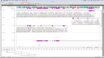 Unipro UGENE podcast #52: The Sanger Reads Editor in UGENE 1.27