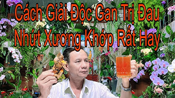 Bài Thuốc Gia Truyền Trị Đau Nhứt Xương Khớp, Giải Độc Gan, Trị Mất Ngủ Tăng Cường Đề Kháng 