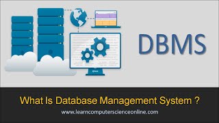 What Is Database Management System ? | What Is DBMS ?