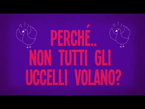 Video: Perché gli uccelli sono così importanti?