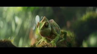 Berocca Chameleon dancing to Panjabi MC