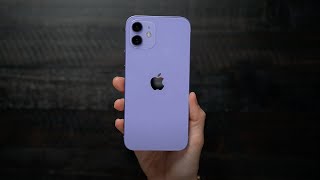  New Purple iPhone 12!