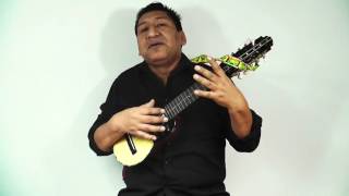 Curso completo de Charango de base 1.  Resumen.