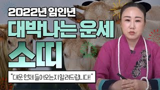 2022년 운세 임인년 초대박나는 소띠운세?!│ 대운이 들어와서 언제 대박나는지 알려드릴게요 무조건 대박나는…