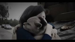 I Miss For You, My Dear Milady Mila Meow