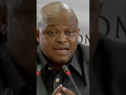 Brown Mokgotsi Lies About Coal Mines Mkhwanazi Mediacapture 