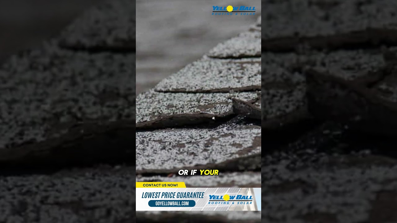 Signs You Need Repair or Replacement 