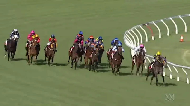 Jockey Josh Cartwright had 'BRAIN FADE' during Mor...