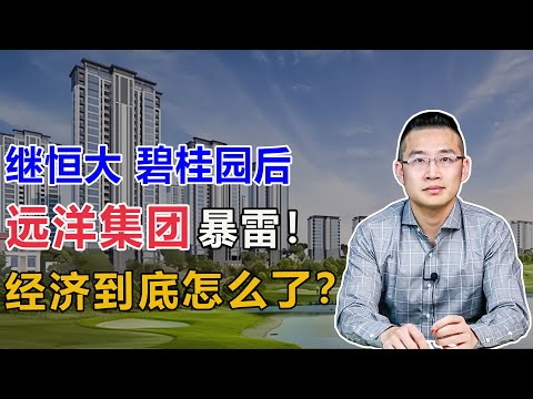 碧桂园和远洋集团相继出事，经济到底怎么了？【汤山老王】