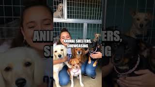 The Secret Lives of Celebrities: Unveiling the Real People Behind the Fame