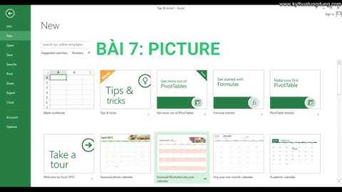 Bài 7: Picture - thao tác định dạng ảnh trong excel