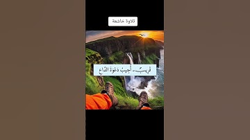 تلاوة خاشعة #youtube #اكسبلور #تليگرام #فايسبوك #القرآن_الكريم #المصحف #لايك #تيك_توك #دويتو #duet