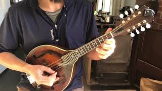 Spotted Pony (D) Mandolin