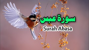 Amma Juz | Surah Abasa | Chapter 80 | سورة عبس | Juz 30 | تلاوة القرآن المجيد | Tilawat