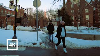 4K | Harvard Night After Winter Snowstorm Cambridge Boston screenshot 5