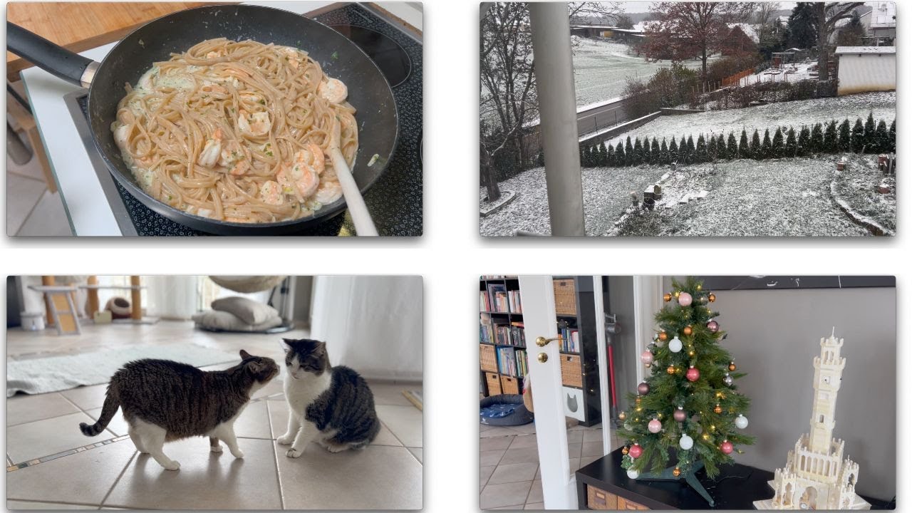 Yemek Tarifi – Kedilerime Noel Takvimi – Noel Agaci