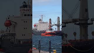 31-letni weteran na falach – LITA wpływa do gdańskiego portu.07.04.2026#PortGdańsk