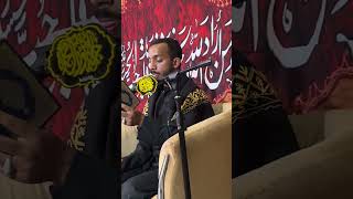 IMG 7138   saffar1445
