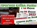 Прогноз клева рыбы на Эту неделю с 24 по 30 Июня. Календарь клева рыбы. Лунный календарь рыбака.