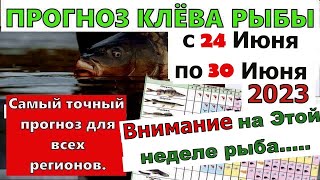 Прогноз клева рыбы на Эту неделю с 24 по 30 Июня. Календарь клева рыбы. Лунный календарь рыбака.