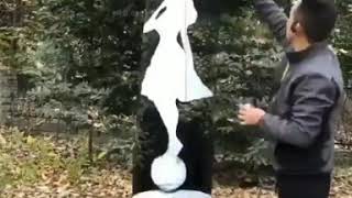 See The Invisible Tree