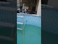 Как самым простым способом очистить бассейн