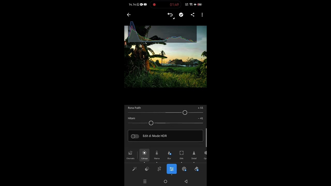 Lightroom Colour setting for Android Phone, 
