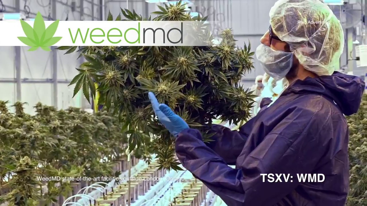 WeedMD Inc. (WMD:TSX.V)