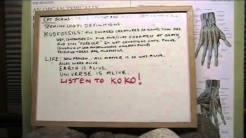 Mudfossil Skin creates feldspar in the Living Universe discussed