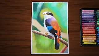 Easy Oil Pastel Drawing for Beginners - a Beautiful Bird screenshot 4