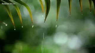10 hours Rain Sounds  Beautiful Piano Music  Background Music, Sleep Music • You & Me #rain