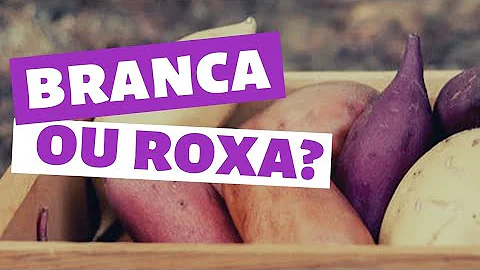 Qual é a melhor batata doce?