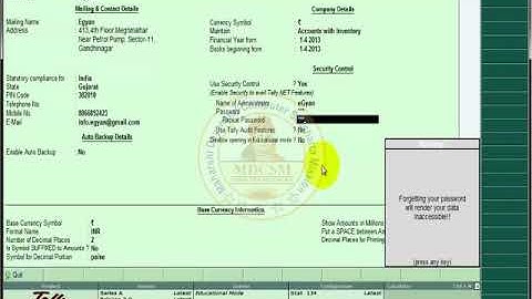 Tally ERP 9 Use Security Control Tutorial in Hindi