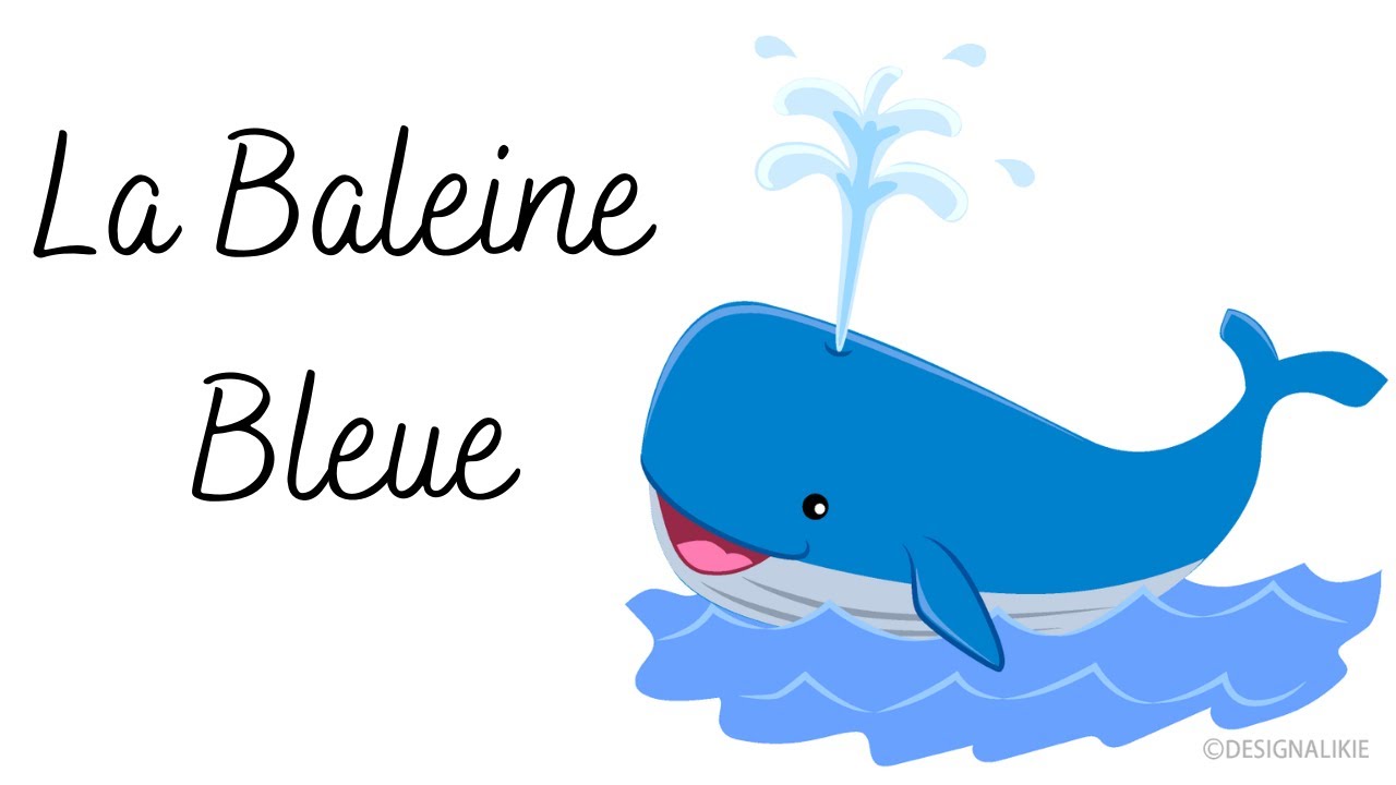 La Baleine Bleue YouTube