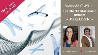 Using GEDMatch's Unique Chromosome Browsers to Study Your DNA Matches