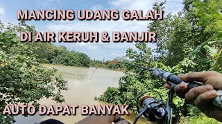 Download Lagu LAKUKAN CARA INI SAAT MANCING UDANG GALAH DI AIR KERUH ATAU BANCIR AUTO DAPAT UDANG GALAH .! MP3 Download Lagu LAKUKAN CARA INI SAAT MANCING UDANG GALAH DI AIR KERUH ATAU BANCIR AUTO DAPAT UDANG GALAH .! MP3