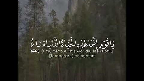 القارئ محمد المقيط سورة (غافر)