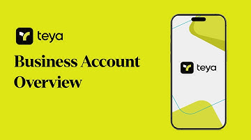 Teya Business Account Overview