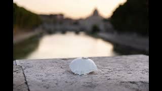 BELI ADI LAN CINTA - BUDI ARSA